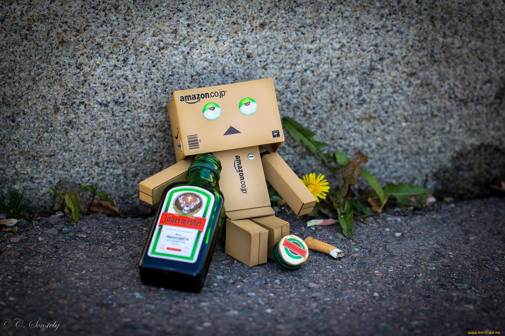 , , danboard, 